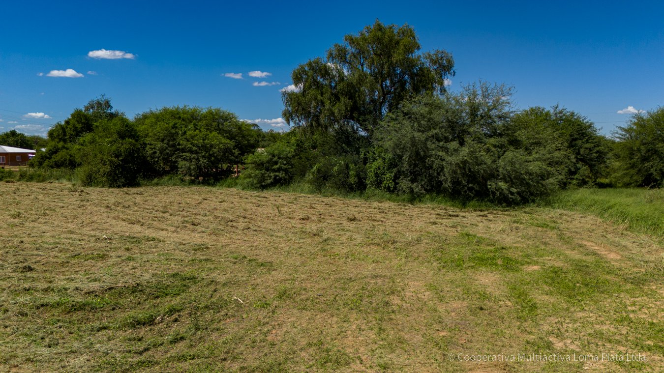 Lote en Kleefeld - 4