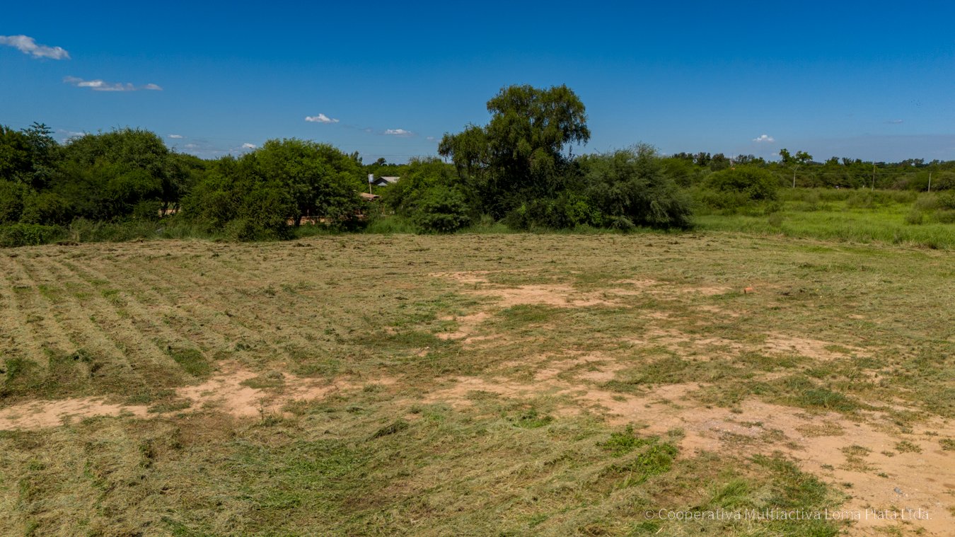 Lote en Kleefeld - 5