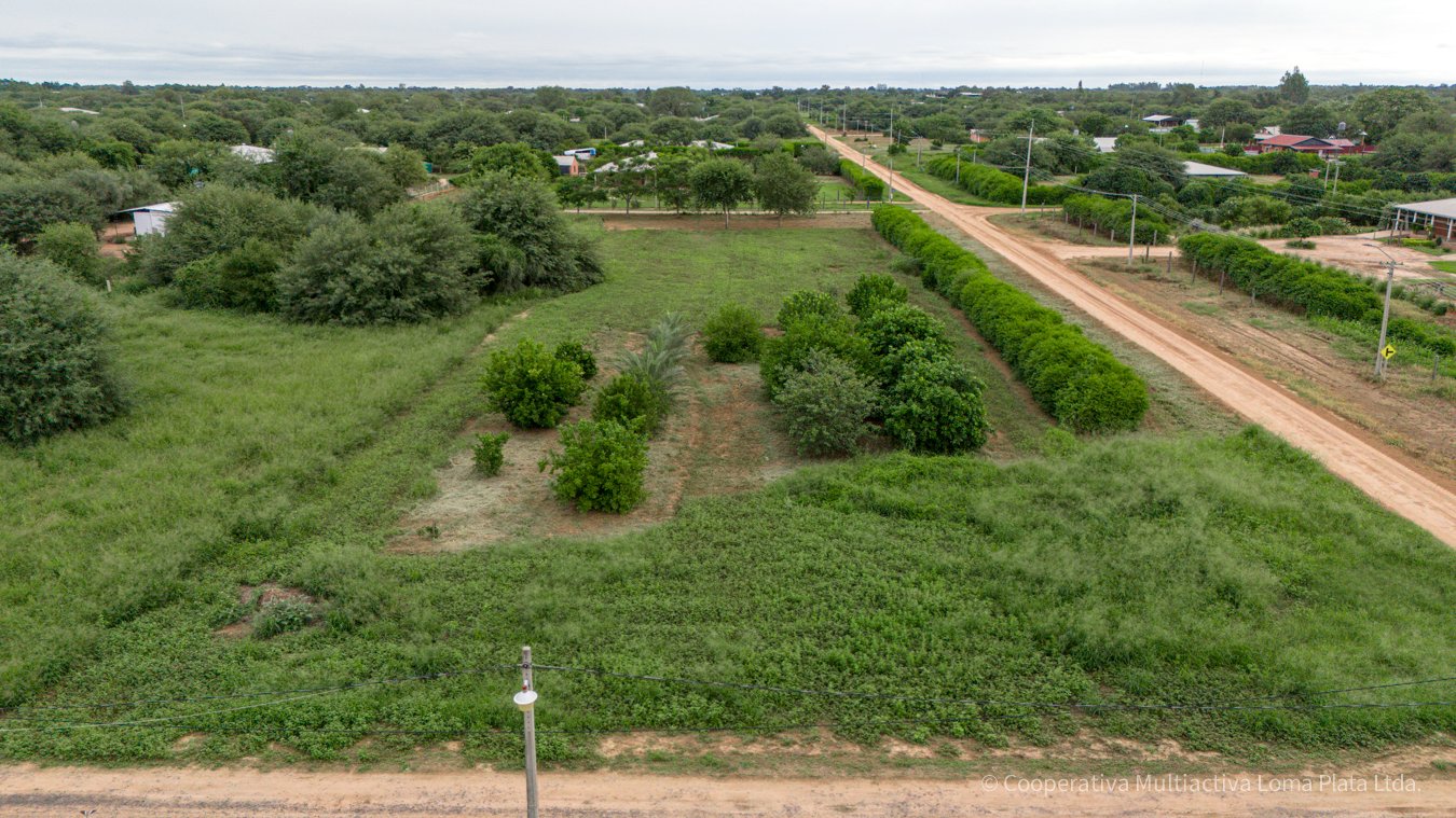 Terreno en Kleefeld - 5