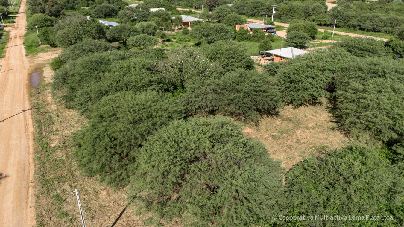 Lote en Loma Plata - 4
