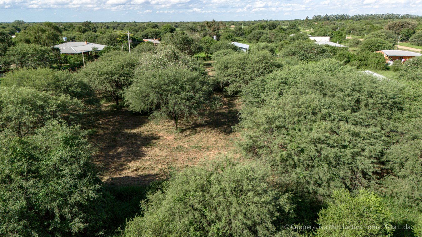 Lote en Loma Plata - 5