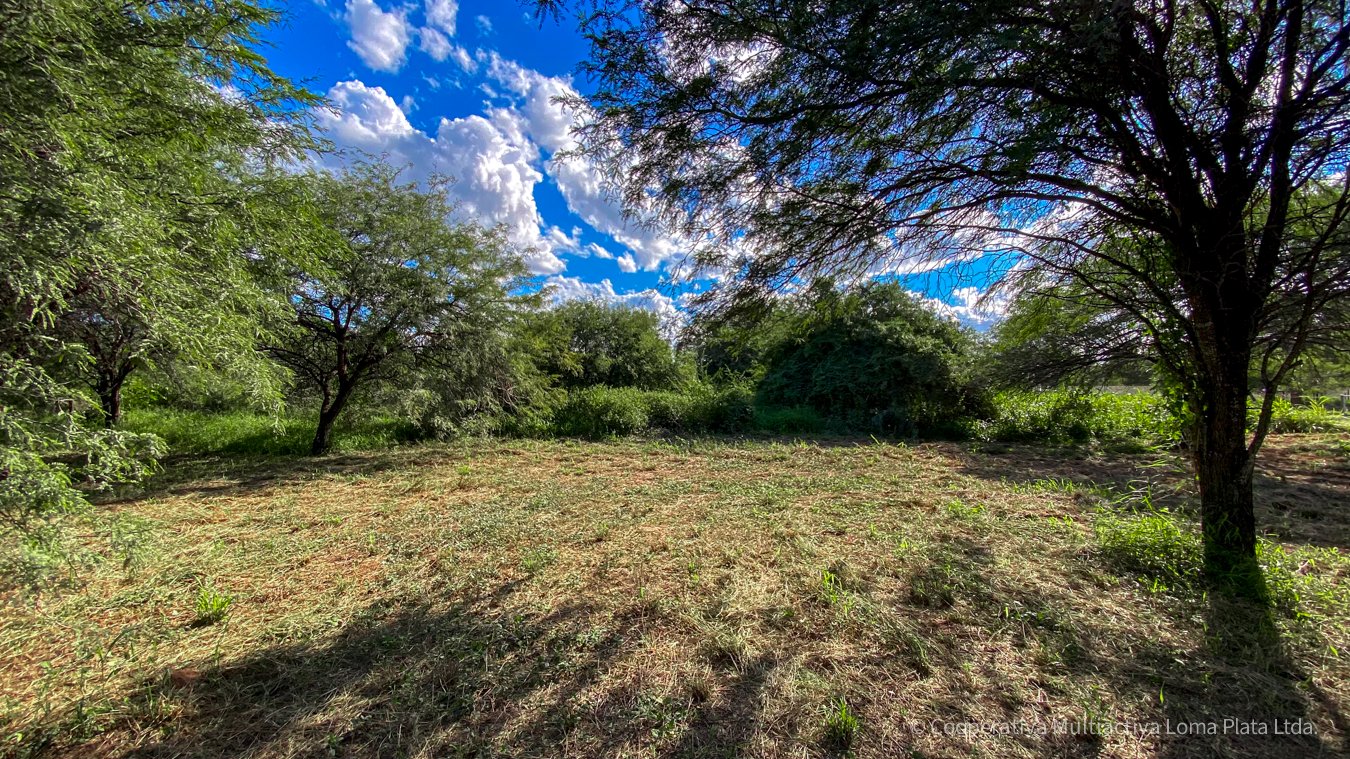 Lote en Loma Plata - 2