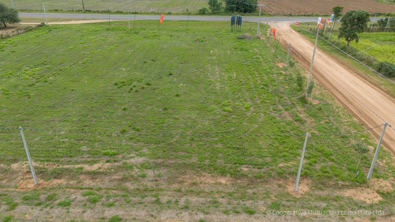 Terreno en Venta en Silbertal – Loma Plata - 2