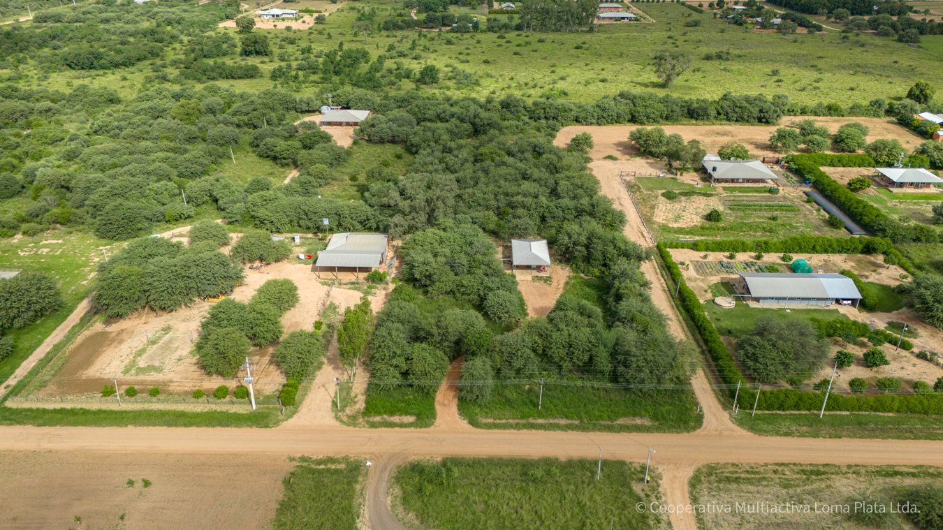 Terreno en Loma Plata - 3