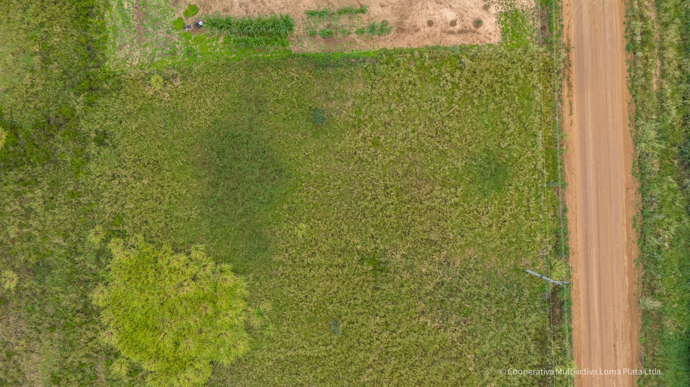 Lote en Loma Plata - 3