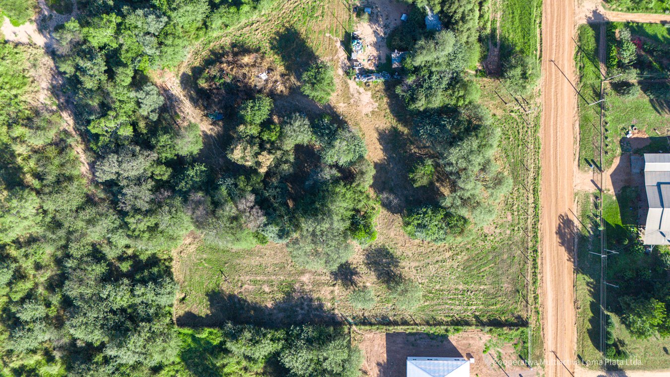Lote en Loma Plata - 5