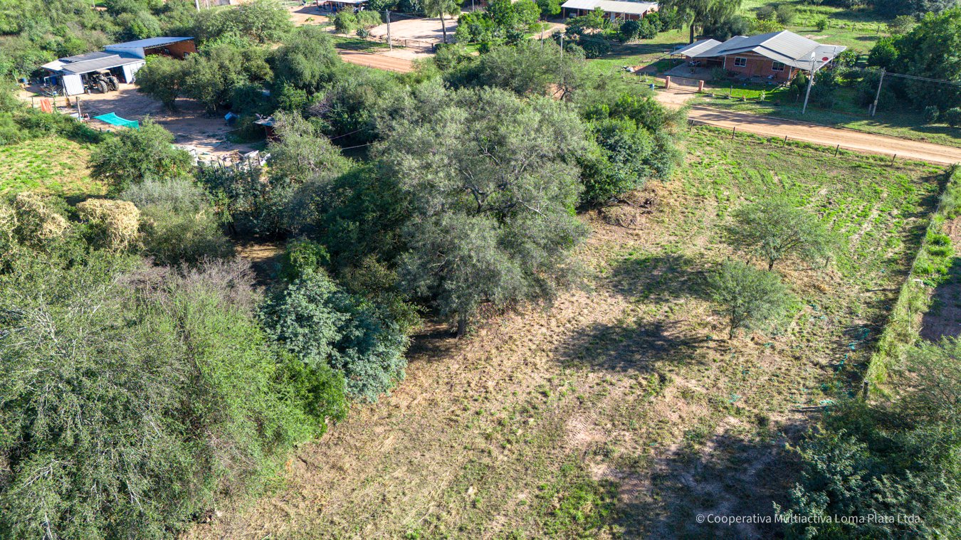 Lote en Loma Plata - 2