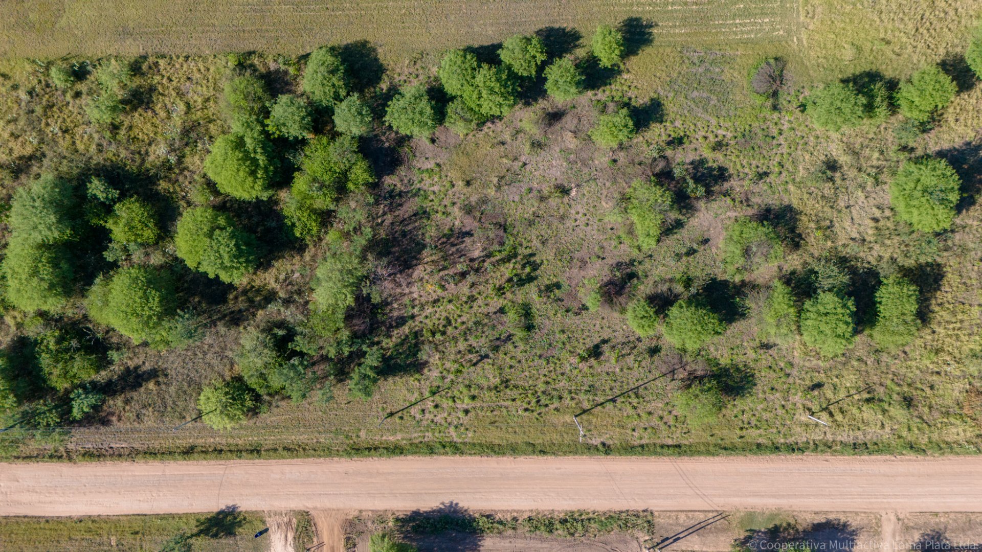 Lote en Kleefeld