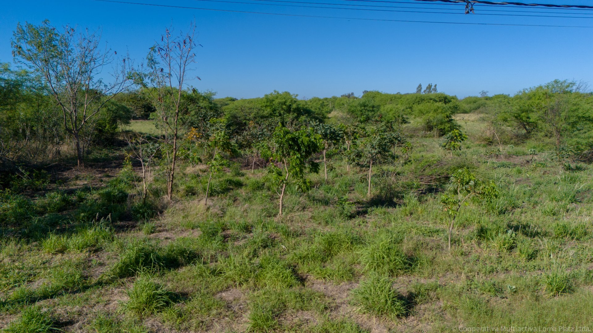 Lote en Kleefeld - 2