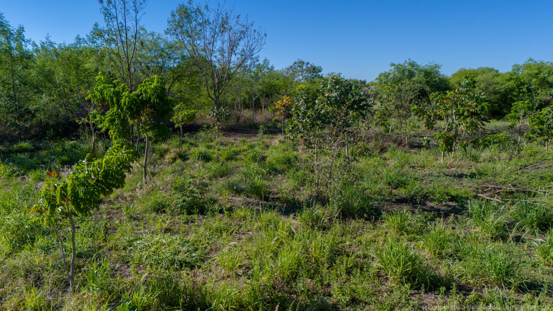 Lote en Kleefeld - 3