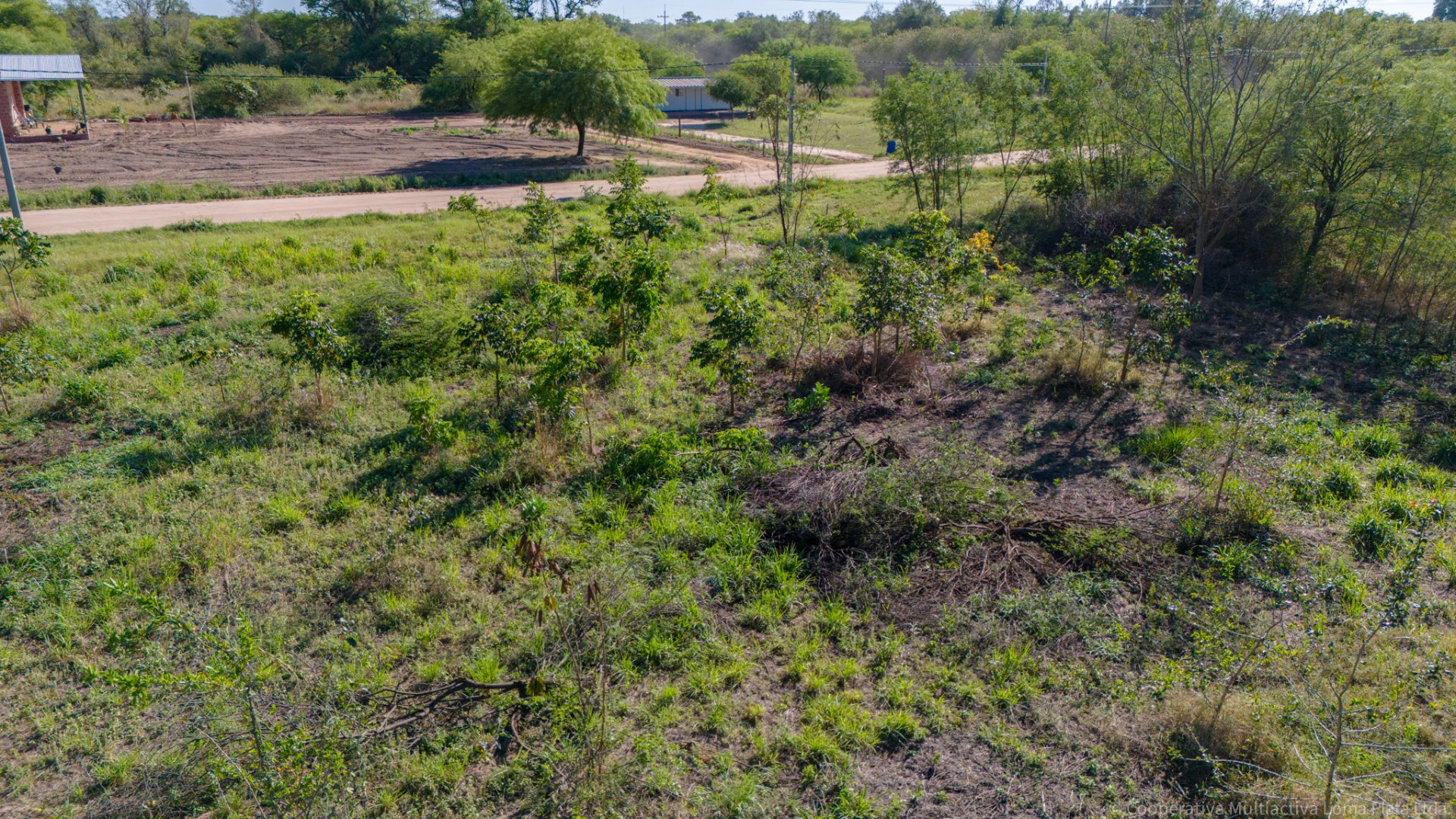 Lote en Kleefeld - 5