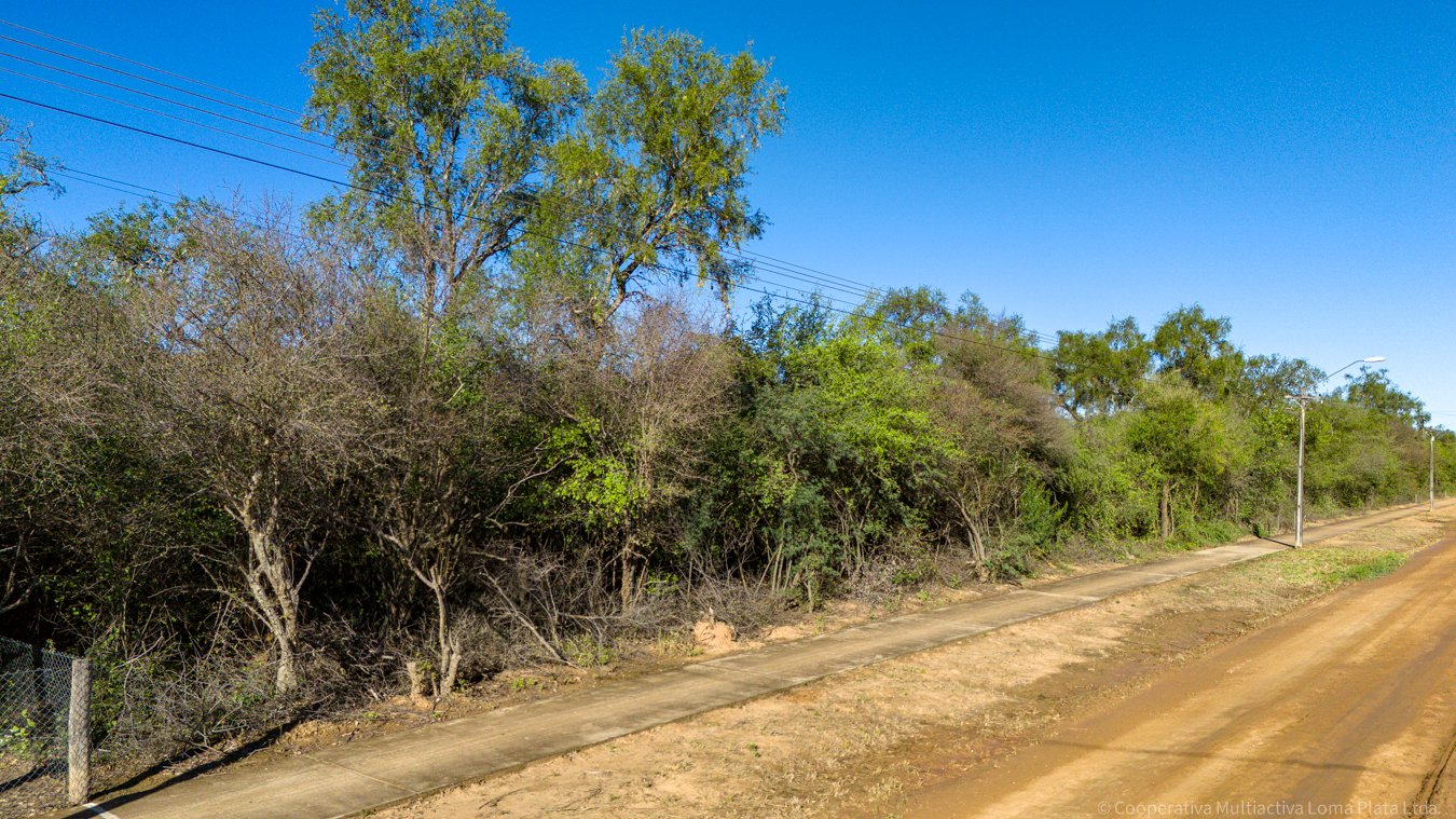 Lote en Filadelfia - 5