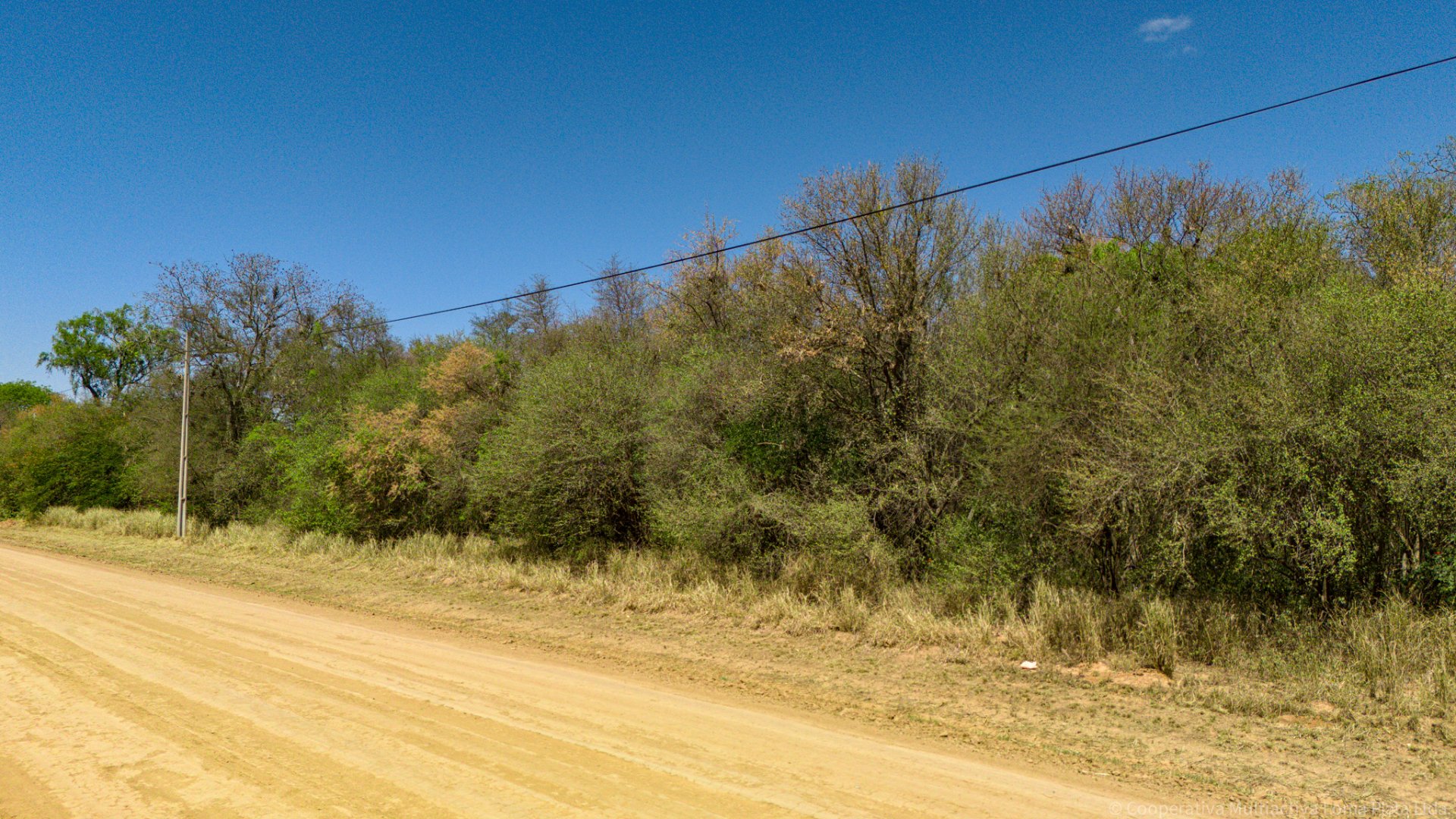 Lote en Filadelfia - 3