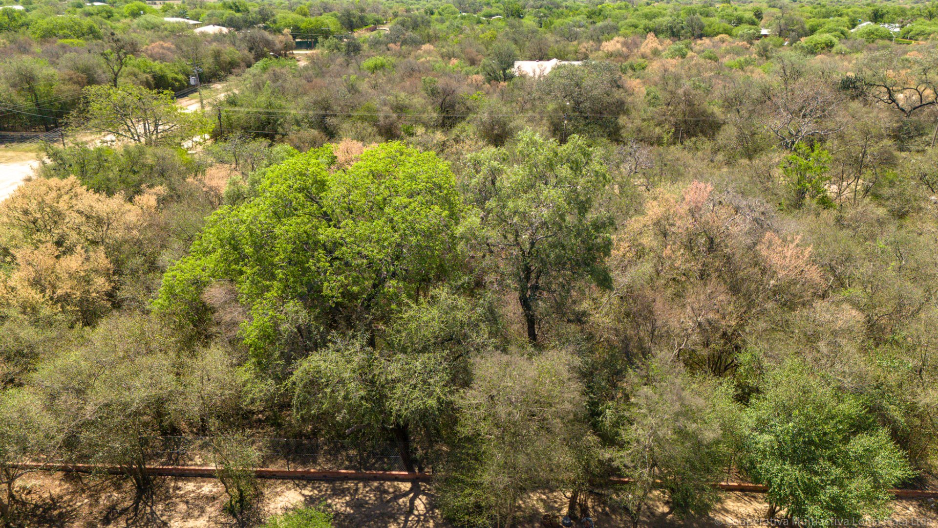 Lote en Filadelfia - 4