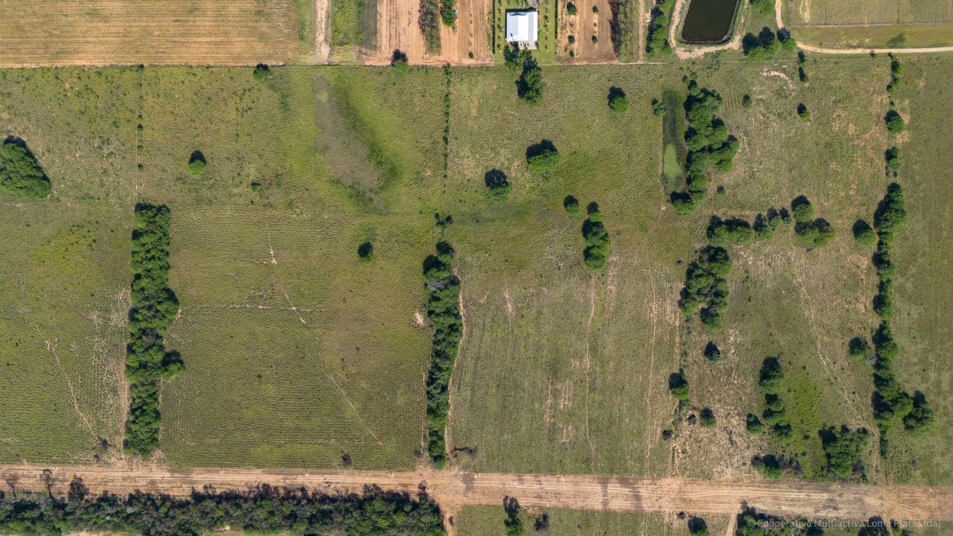Lote en Grünfeld