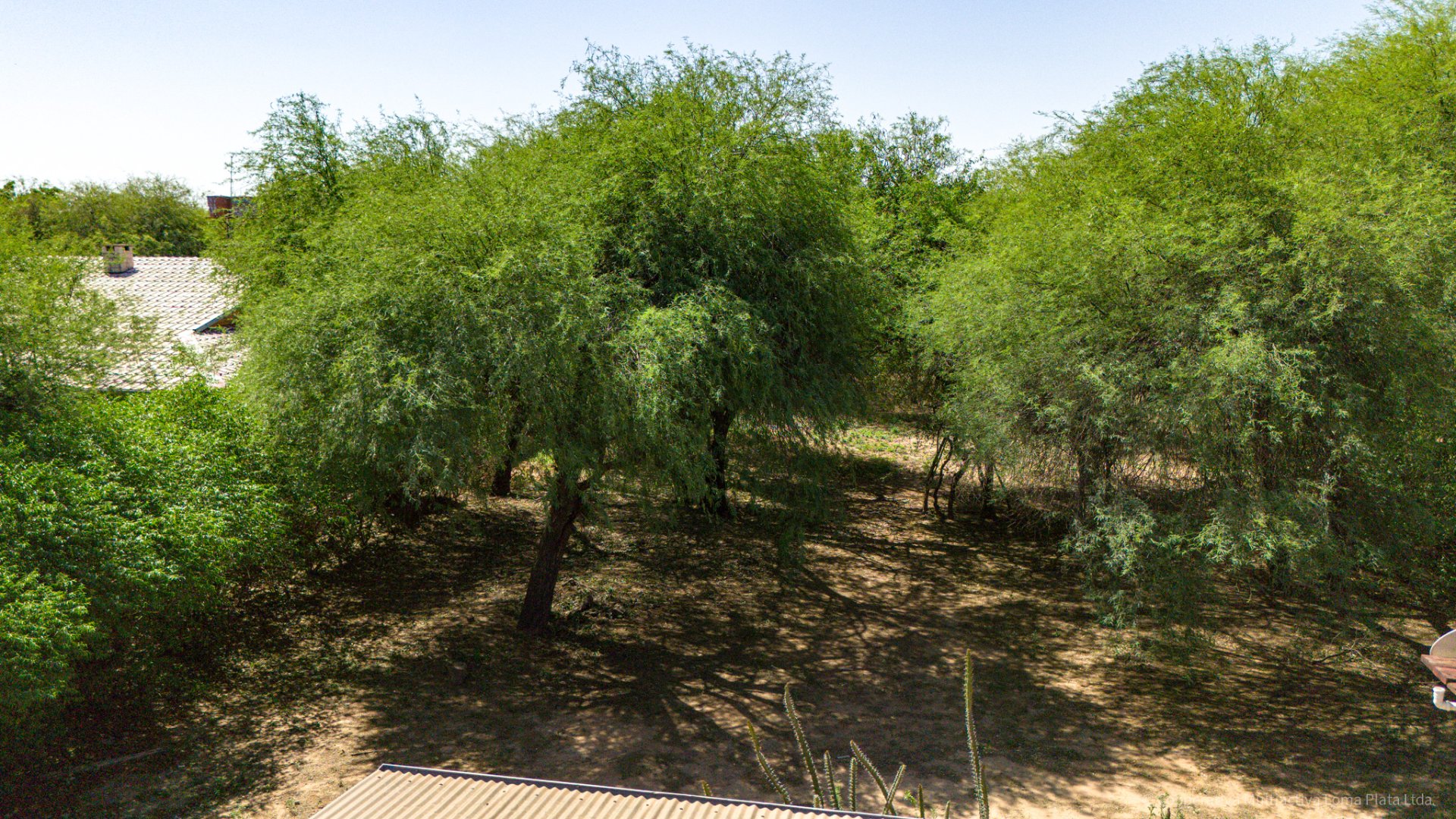 Lote en Filadelfia - 4