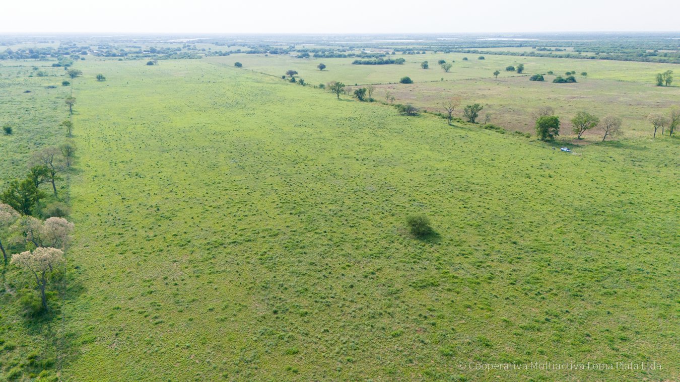 Campo en Eigenheim - 5