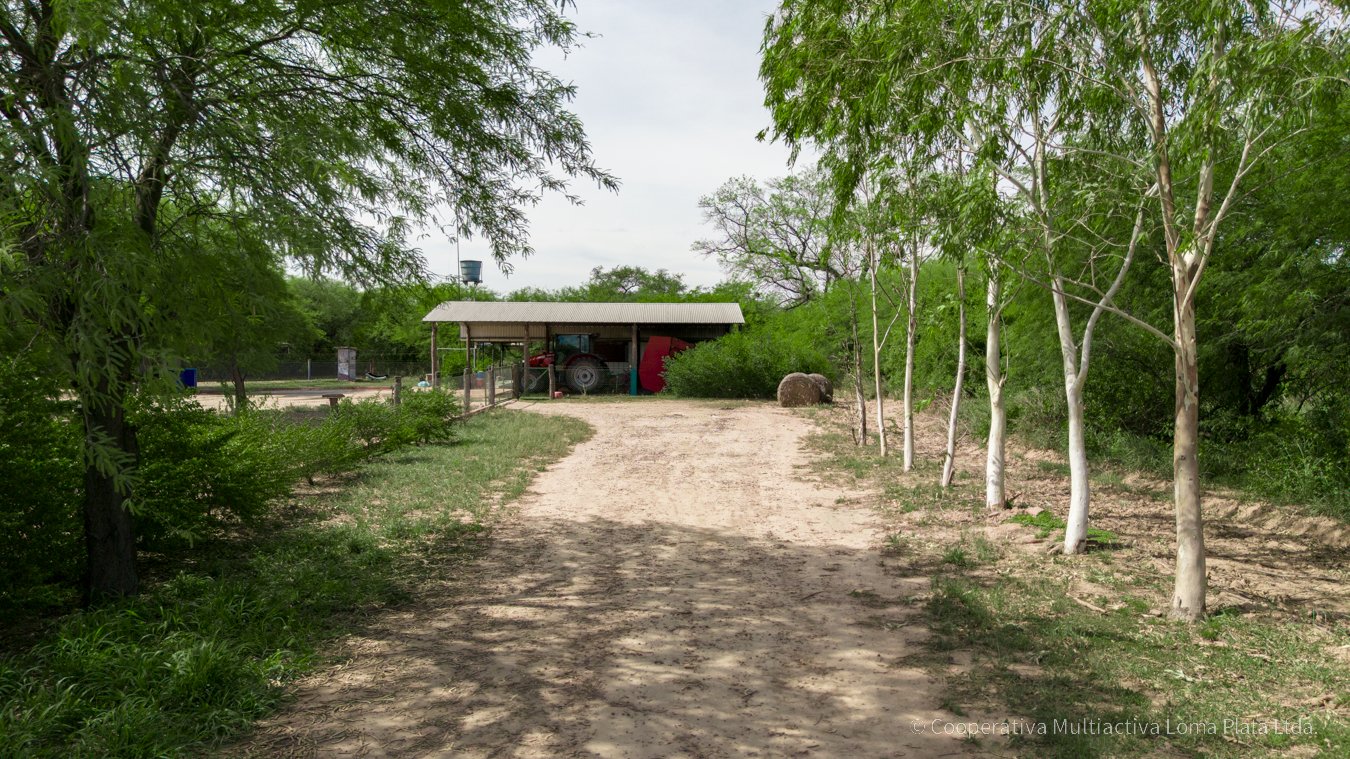 Casa Residencial en Kleefeld - 3