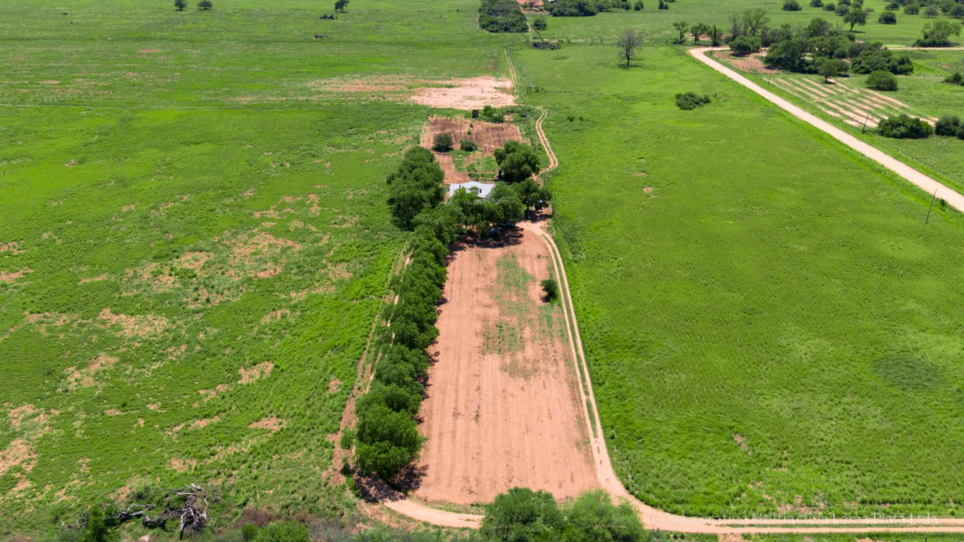 Campo en Reinfeld - 5