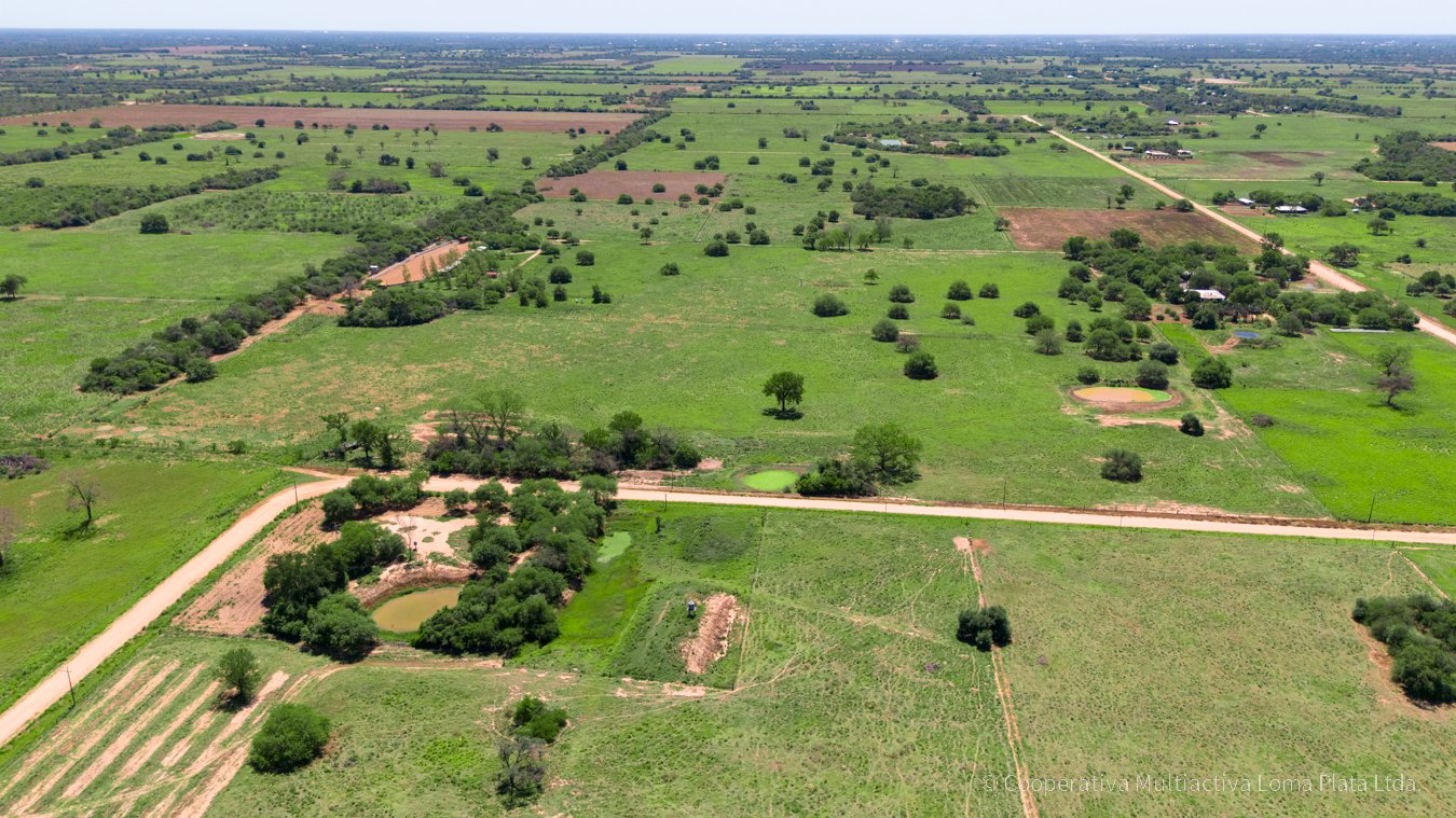 Campo en Reinfeld - 4