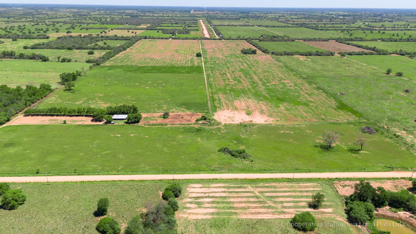 Campo en Reinfeld - 3