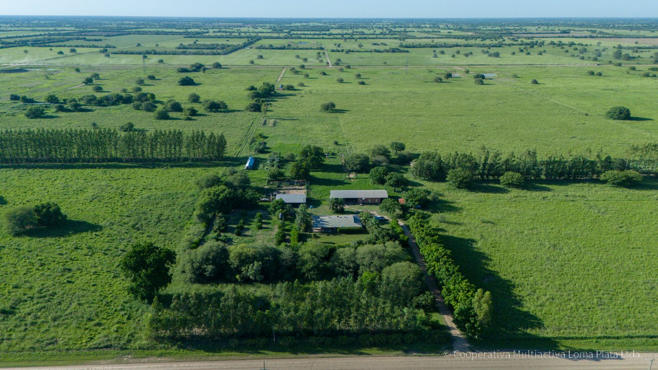 Campo en Weidenfeld - 3