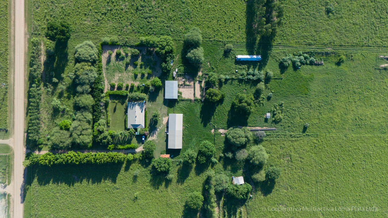 Campo en Weidenfeld - 2