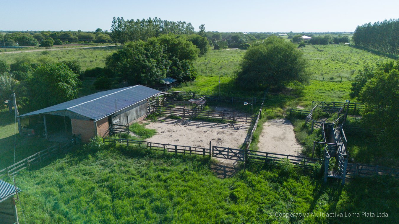 Campo en Weidenfeld - 4