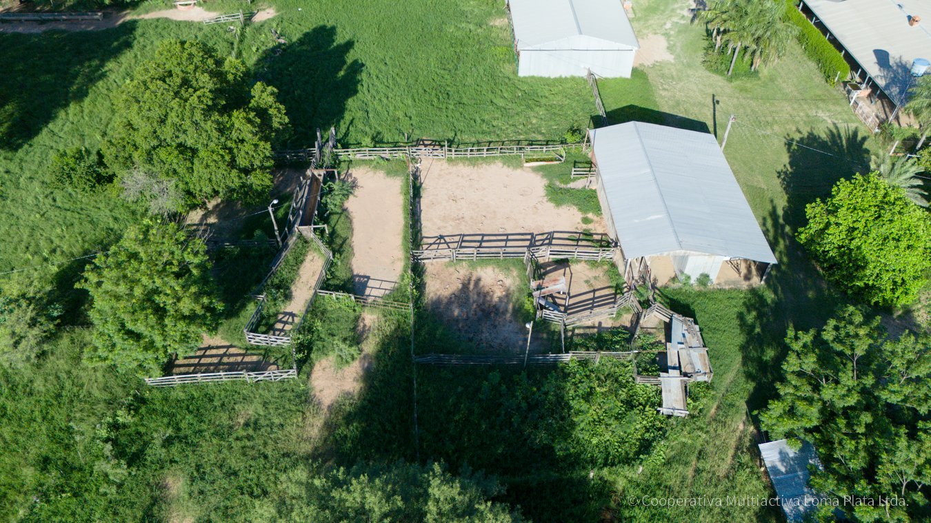 Campo en Weidenfeld - 5