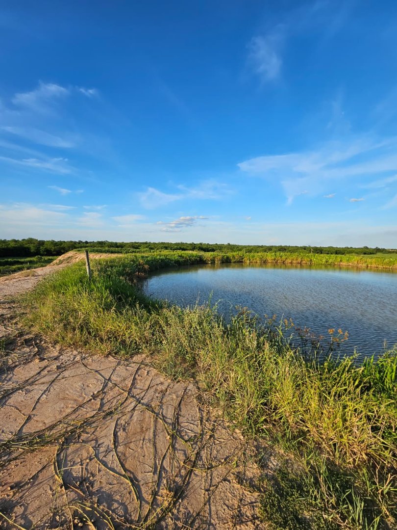 Estancia en Puerto Casado - 3