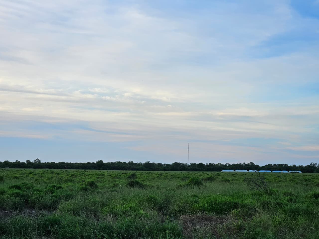 Estancia en Puerto Casado - 5