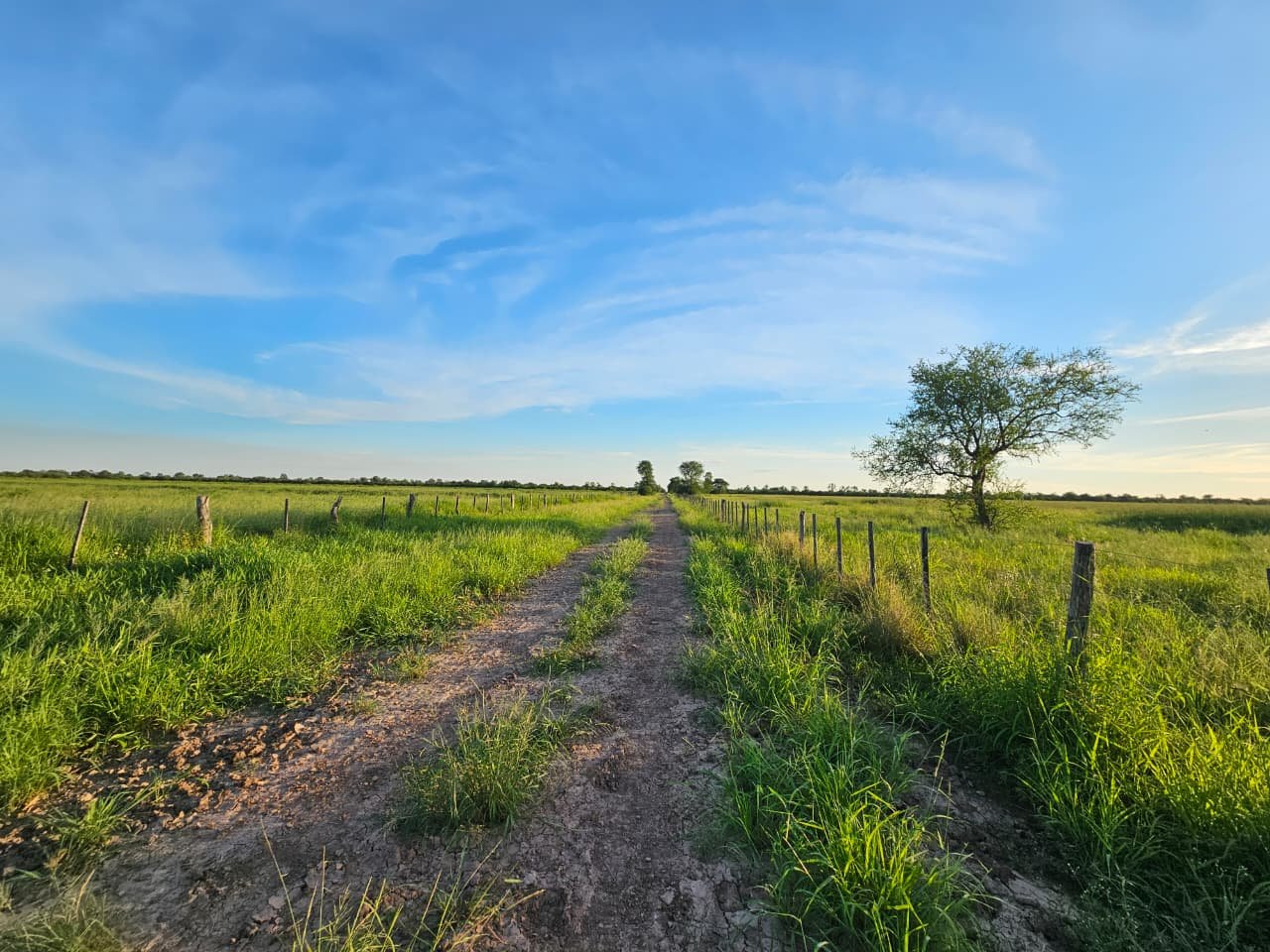 Estancia en Puerto Casado