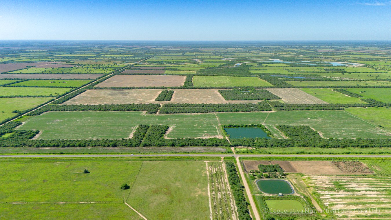 Terreno sobre la Ruta Bioceánica - 5