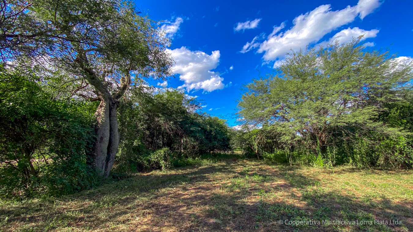 Lote en Loma Plata