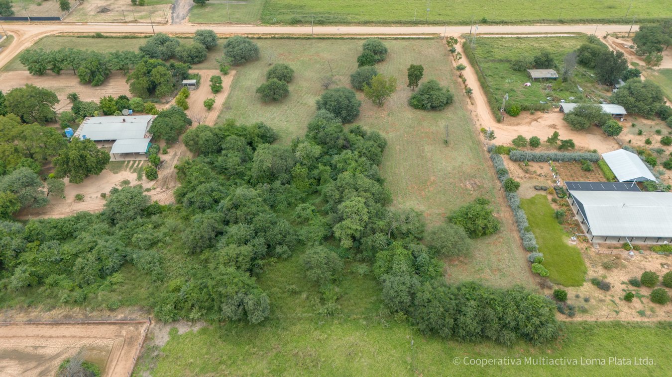Terreno en Kleefeld - 2