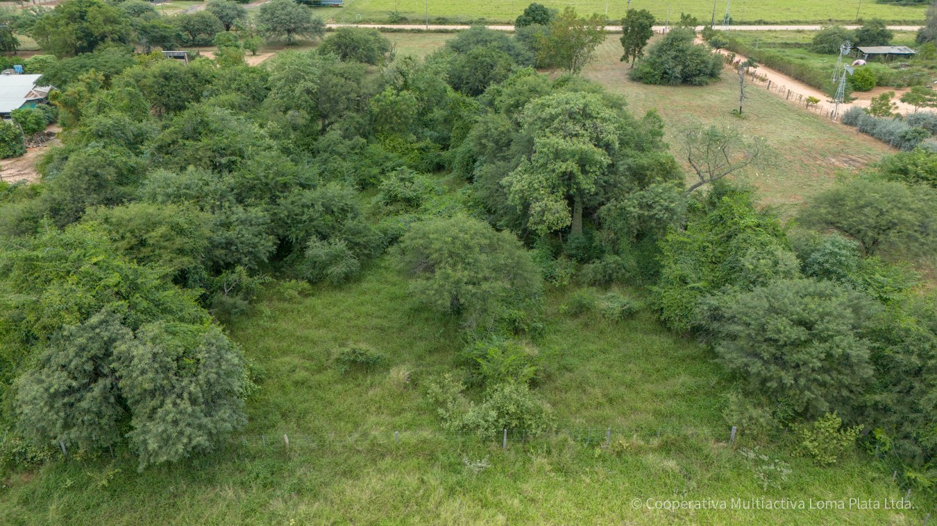 Terreno en Kleefeld - 3