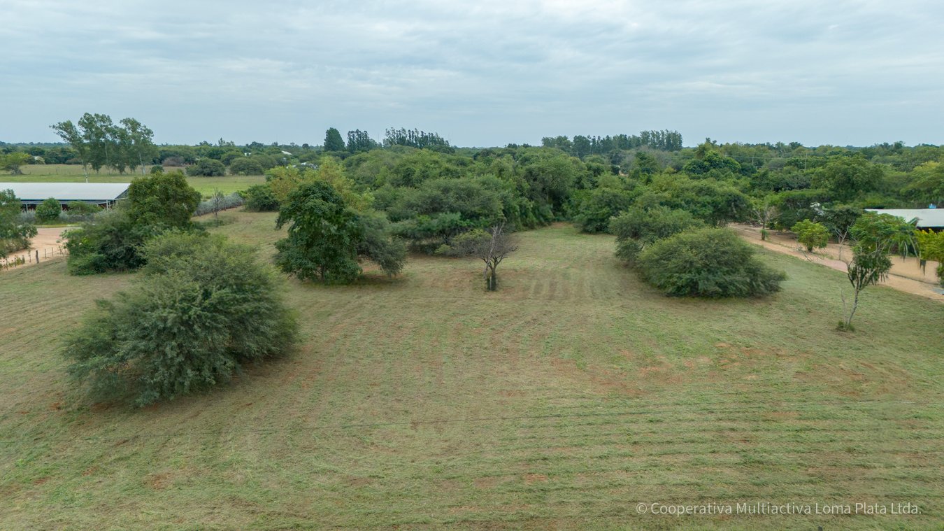 Terreno en Kleefeld - 4