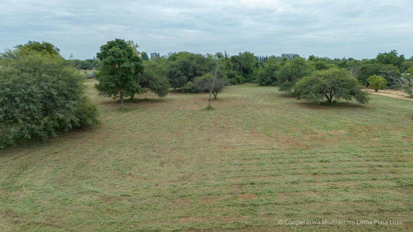 Terreno en Kleefeld - 5