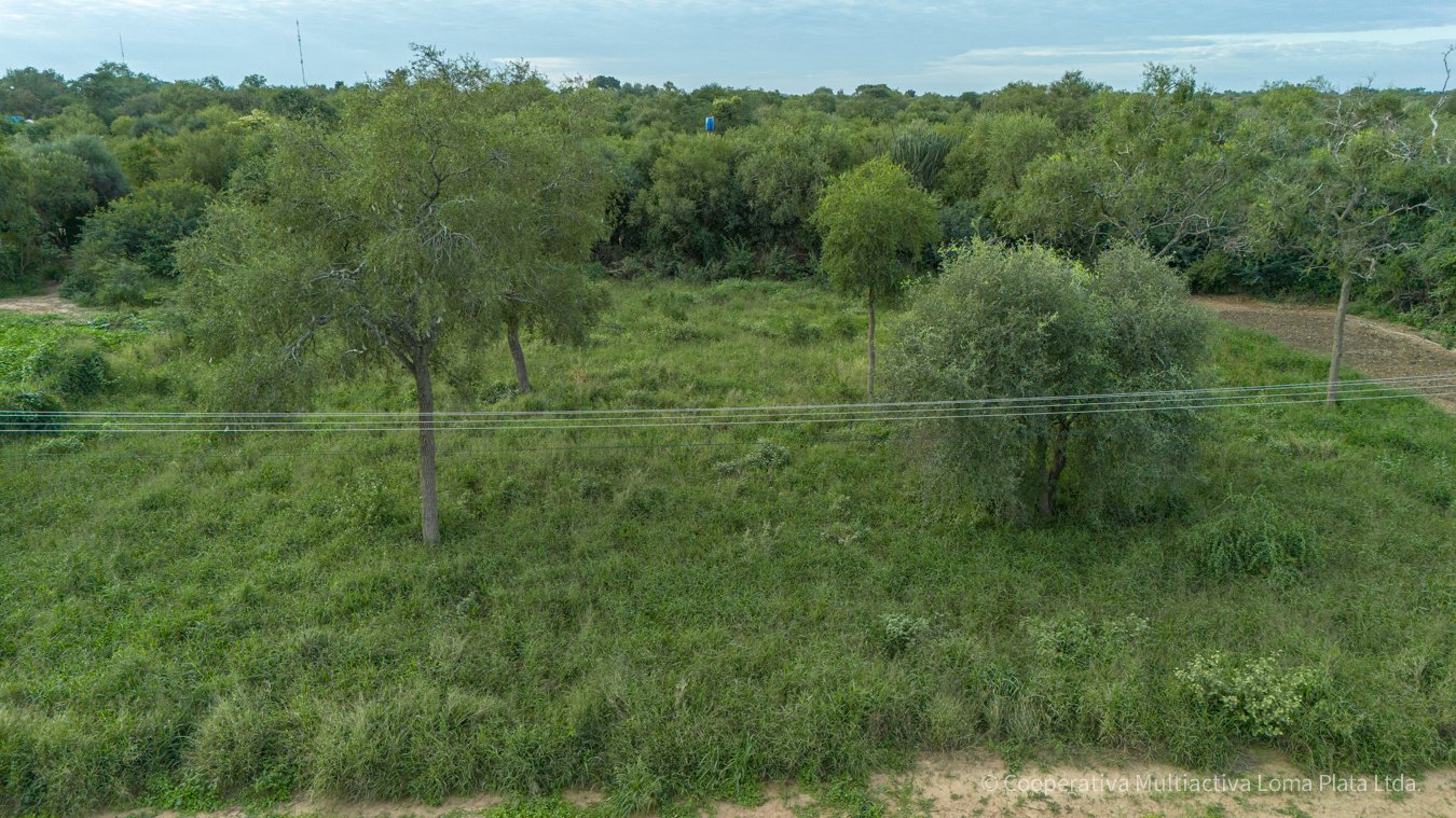 Lote en Bergfeld - 3