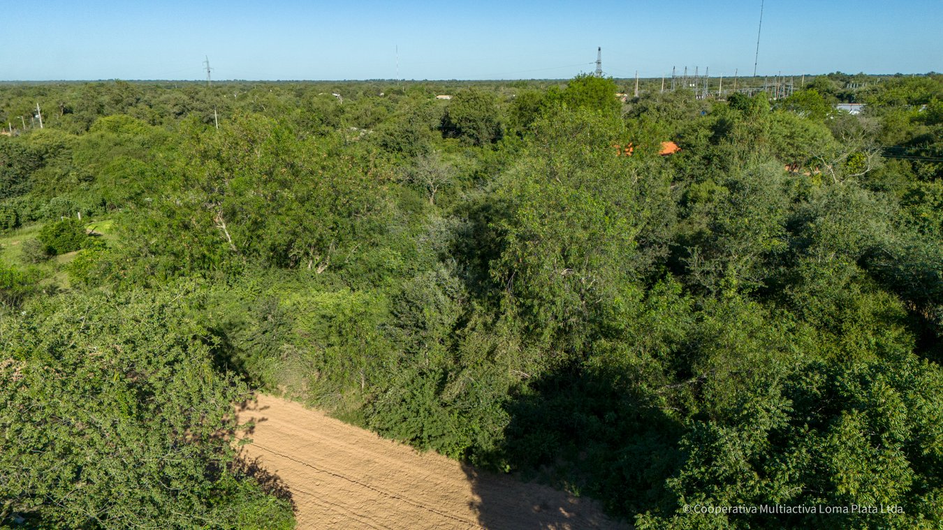 Lote en Loma Plata - 2