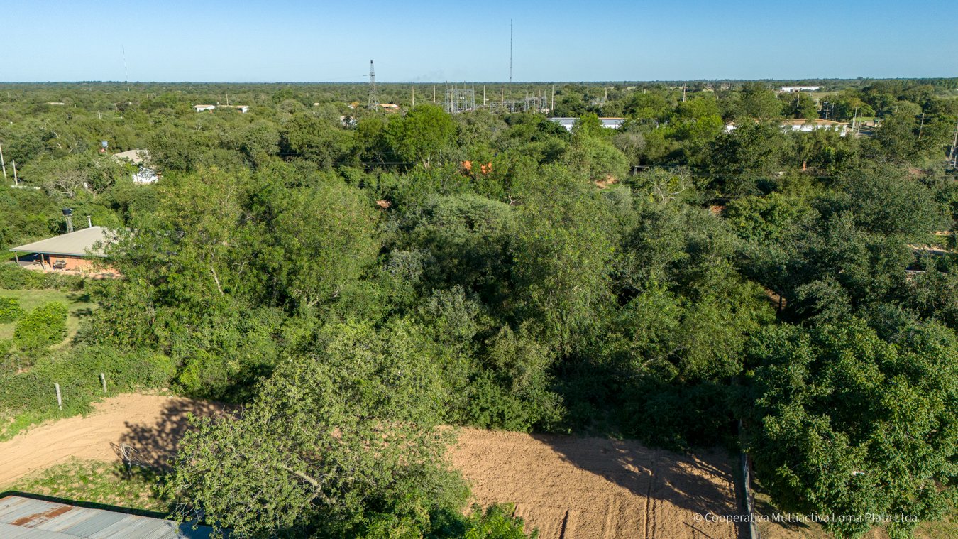 Lote en Loma Plata - 3