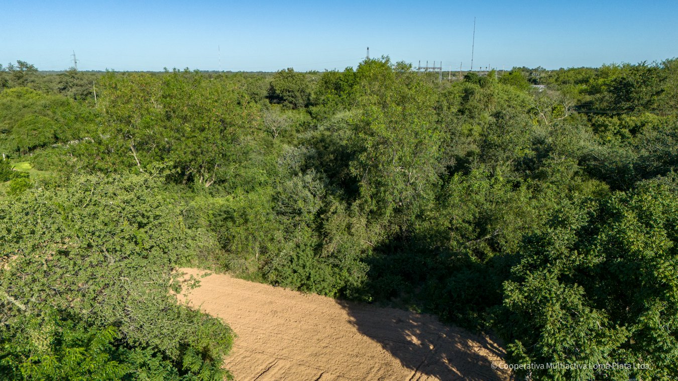 Lote en Loma Plata - 4