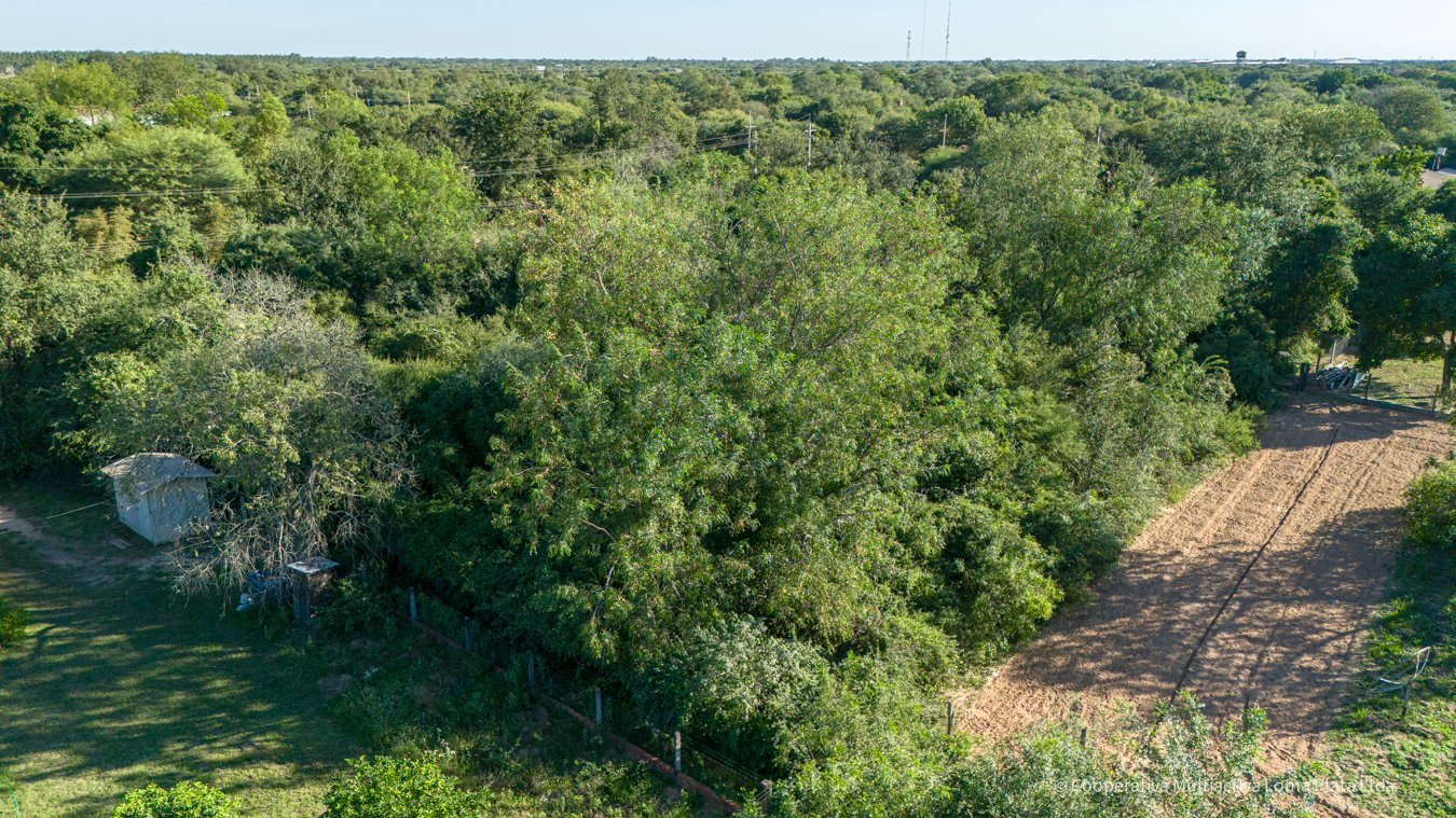 Lote en Loma Plata - 5