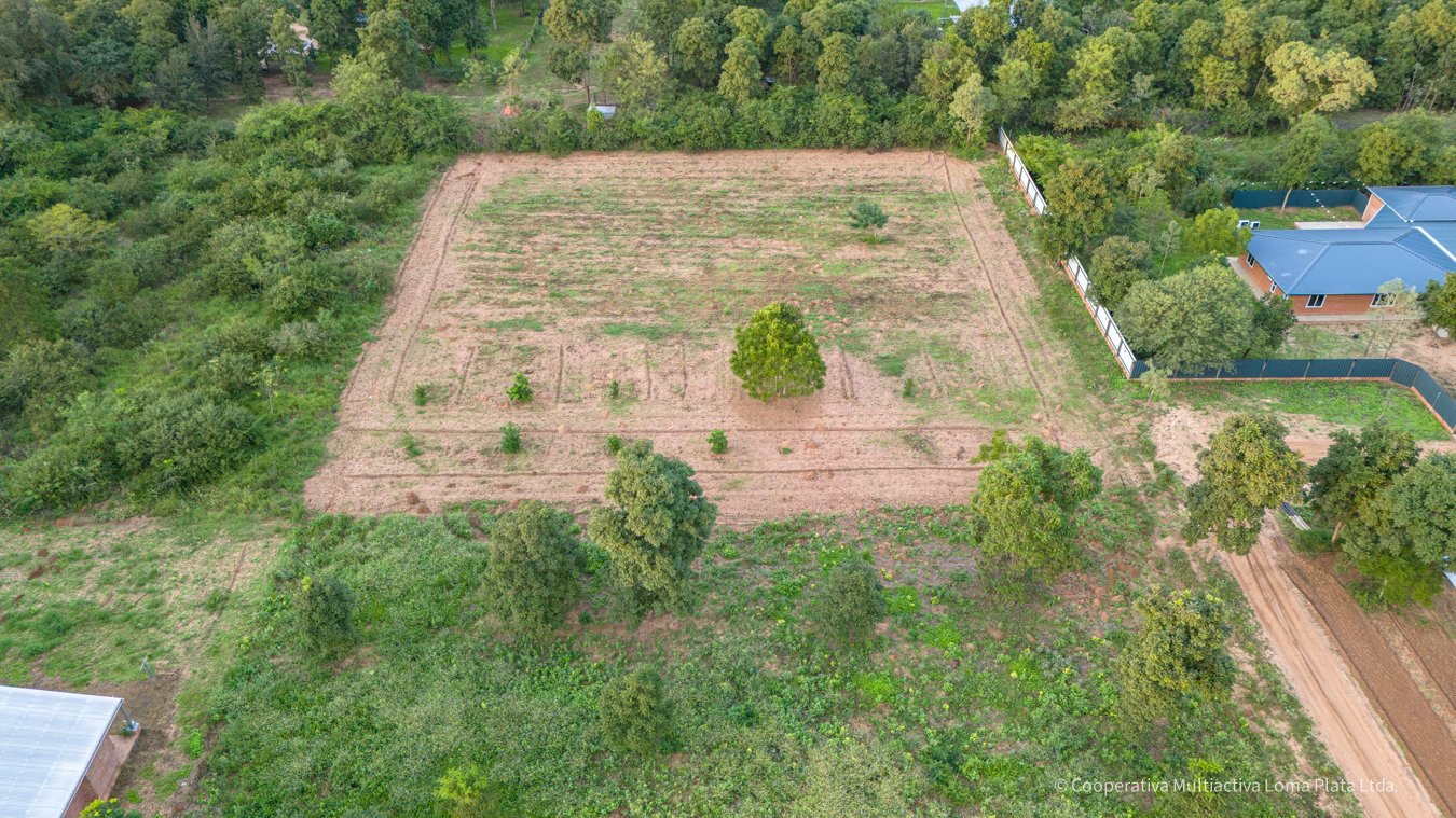 Lote en Loma Plata - 3
