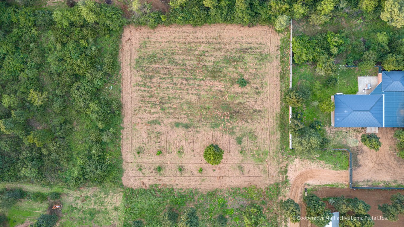 Lote en Loma Plata - 4