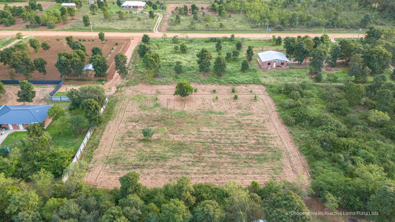 Lote en Loma Plata - 5