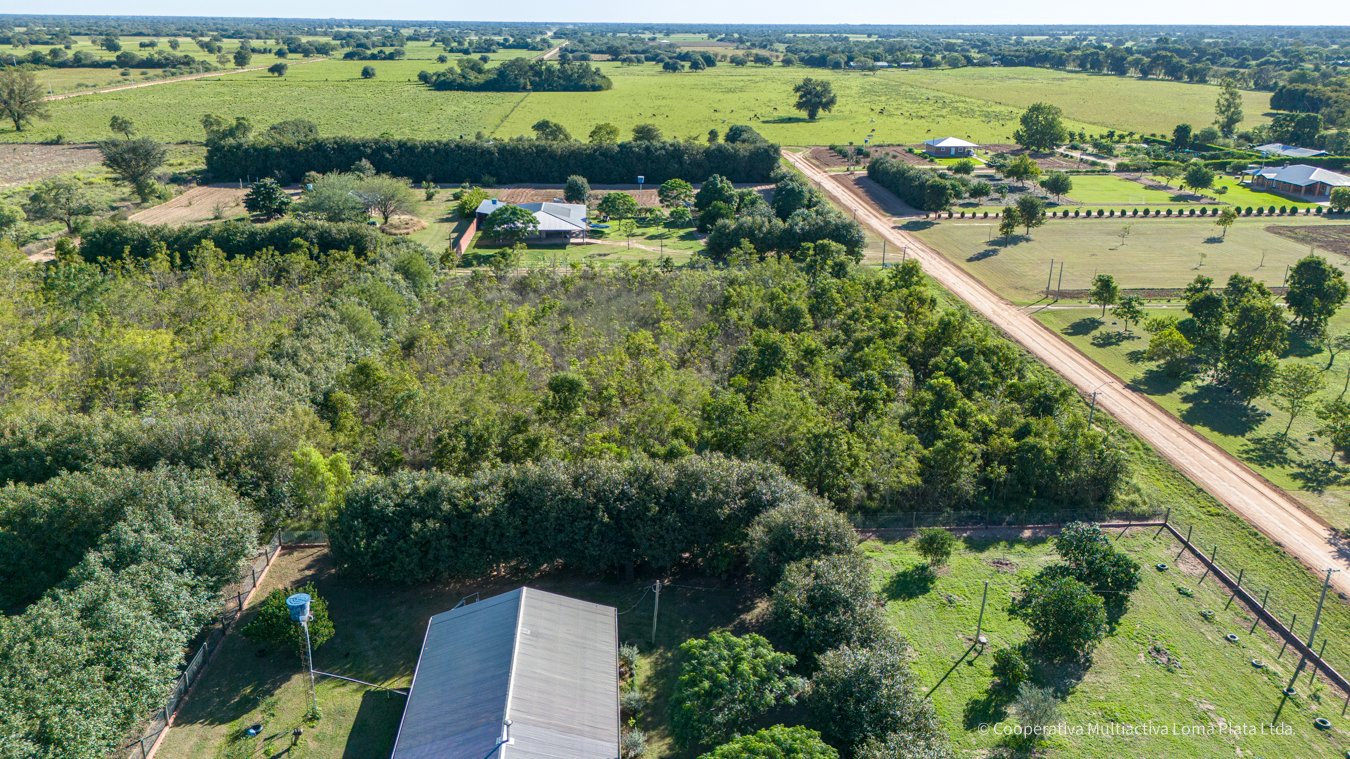 Lote en Osterwick - 4