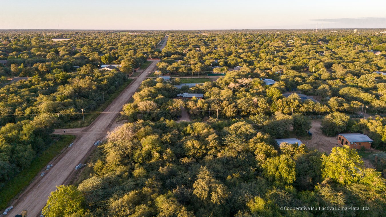 Lote en Loma Plata - 3