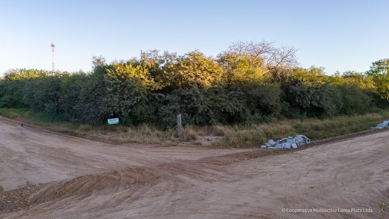 Lote en Loma Plata - 4