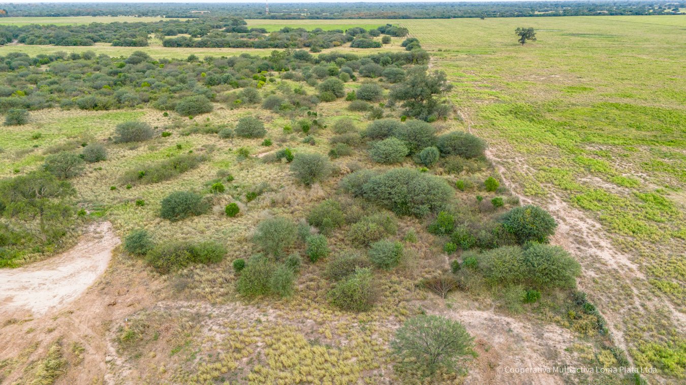 Lote en Filadelfia - 2